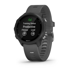 Imagem do Garmin 245 Forerunner 245 Cinza Ardósia