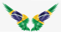 Desenho de asas estilizadas com as cores da bandeira do Brasil.