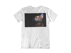 Camisa Gatos mod16