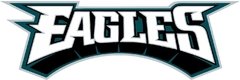 Camisa Philadelphia Eagles mod 1 - loja online