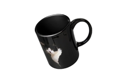 Caneca Gatos Preta MOD16