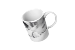 Caneca Gatos MOD17