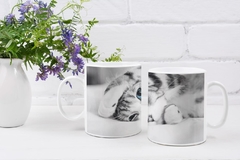 Caneca Gatos MOD17 na internet