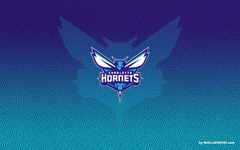 Caneca Charlotte Hornets mod 1 - Presentes Personalizados I Canecas, Camisas, Perfumes, Quadros, Almofadas