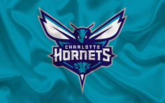 Caneca Charlotte Hornets mod 2 - Presentes Personalizados I Canecas, Camisas, Perfumes, Quadros, Almofadas