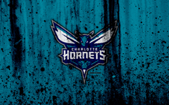 Caneca Charlotte Hornets mod 5 - Presentes Personalizados I Canecas, Camisas, Perfumes, Quadros, Almofadas