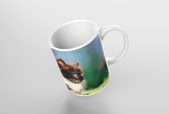 Caneca Gatos MOD8 na internet