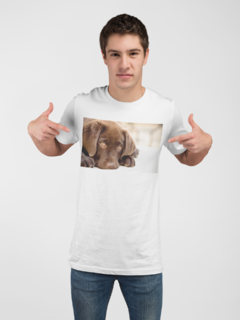 Camisa Cães mod3 - comprar online