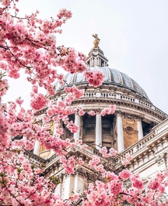 London in Bloom