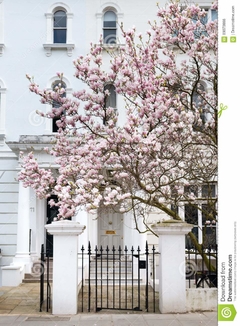 Imagen de London in Bloom