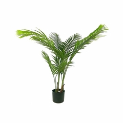 Planta Palmera