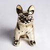 Bulldog Goldy - decoraciones exclusivas