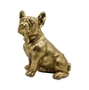 Bulldog Sit Gold