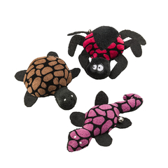 CATNIP SPIDER