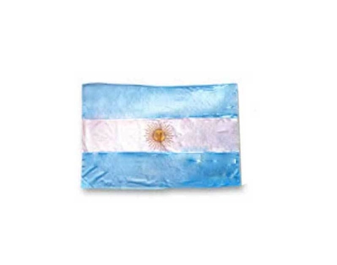 BANDERA ARGENTINA 50 x 30