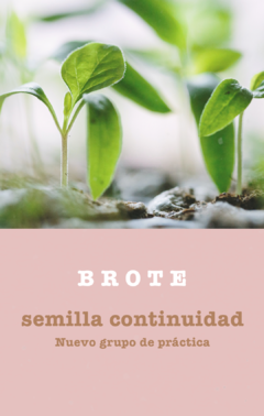 BROTE - Semilla continuidad