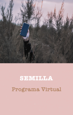 Semilla programa virtual