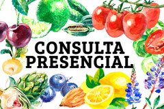 CONSULTA PRESENCIAL - ROCIO RUNCA