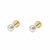 Abridores CH perlitas de cultivo de 4 mm - comprar online