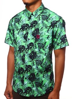 CAMISA ESTAMPADA CAMALEÃO URBANO COSTELA DE ADÃO VERDE - comprar online