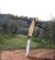 Canivete em Aço Inox - comprar online