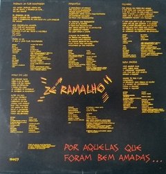 LP Zé Ramalho - Pra não dizer que não falei do rock - DISCOS, VINIL, LPS, CDS, MÚSICA Sub solo