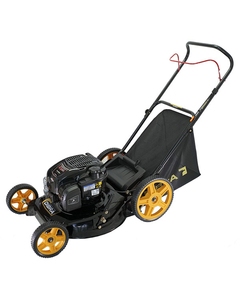 Cortadora de Césped Naftera Briggs & Stratton R70NTE - comprar online