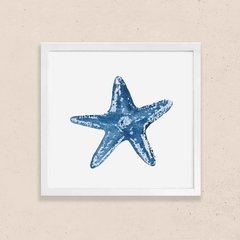 Cuadro estrella de mar 2