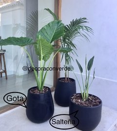 Combo Modelo GOTA 38 cm + Planta tropical a elección - Decora con Verde