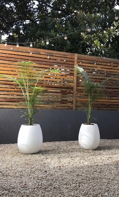 Maceta Malbec Gota grande 66 cm con palmera o planta a elegir