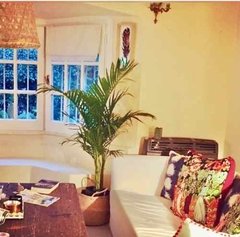 Palmera Areca Decora Con Verde! Living Hall Oficina - comprar online