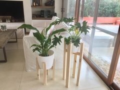 Combo Deco Completo! 2 Pie Portamaceta + 2 Plantas + Macetas