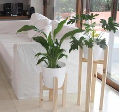 Combo Deco! Pie Madera 60 Cm + Planta Tropical + Maceta