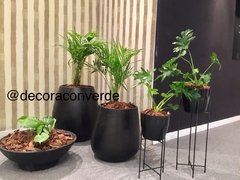 Pie portamacetas de Hierro con maceta y planta tropical a elección en internet