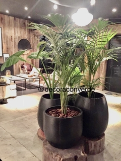 Maceta Malbec Gota grande 66 cm con palmera o planta a elegir en internet