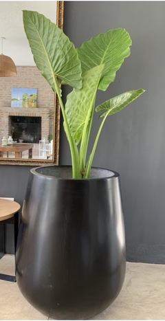 Maceta Fibra de Vidrio Gota Malbec grande Altura 66 cm con planta