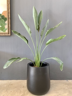 Fibra de Vidrio Maceta Gota con planta a elegir Blanco Negro