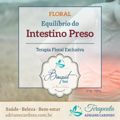 Terapia Floral Intestino Preso