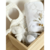 Mini Box de Nacimiento White - comprar online