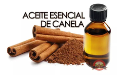 Cinnamon Essential Oil - Eiffel Quimica