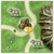 Jogo Isle of Skye - PaperGames - comprar online