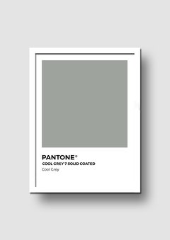 Cuadro Pantone Cool Grey - Memorabilia