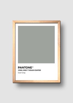 Cuadro Pantone Cool Grey - comprar online