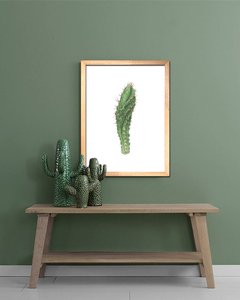 Cuadro Acuarela Cactus Cereus - comprar online