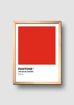 Cuadro Pantone Flame - comprar online