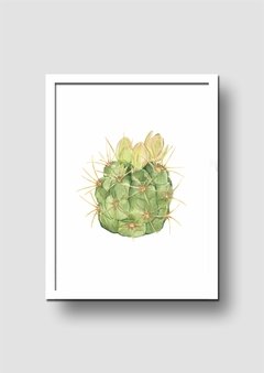 Cuadro Acuarela Cactus Gymnocalycium - tienda online