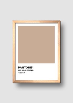 Cuadro Pantone Hazelnut - comprar online