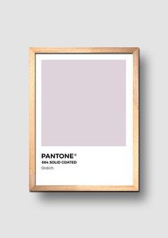Cuadro Pantone Ordich - comprar online