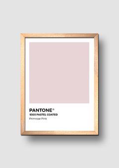 Cuadro Pantone Primrose Pink - comprar online