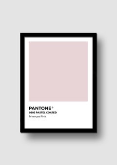 Cuadro Pantone Primrose Pink en internet